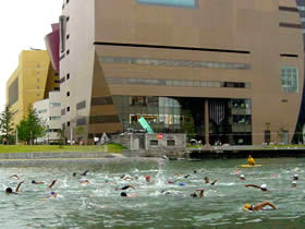 �X�C�����i